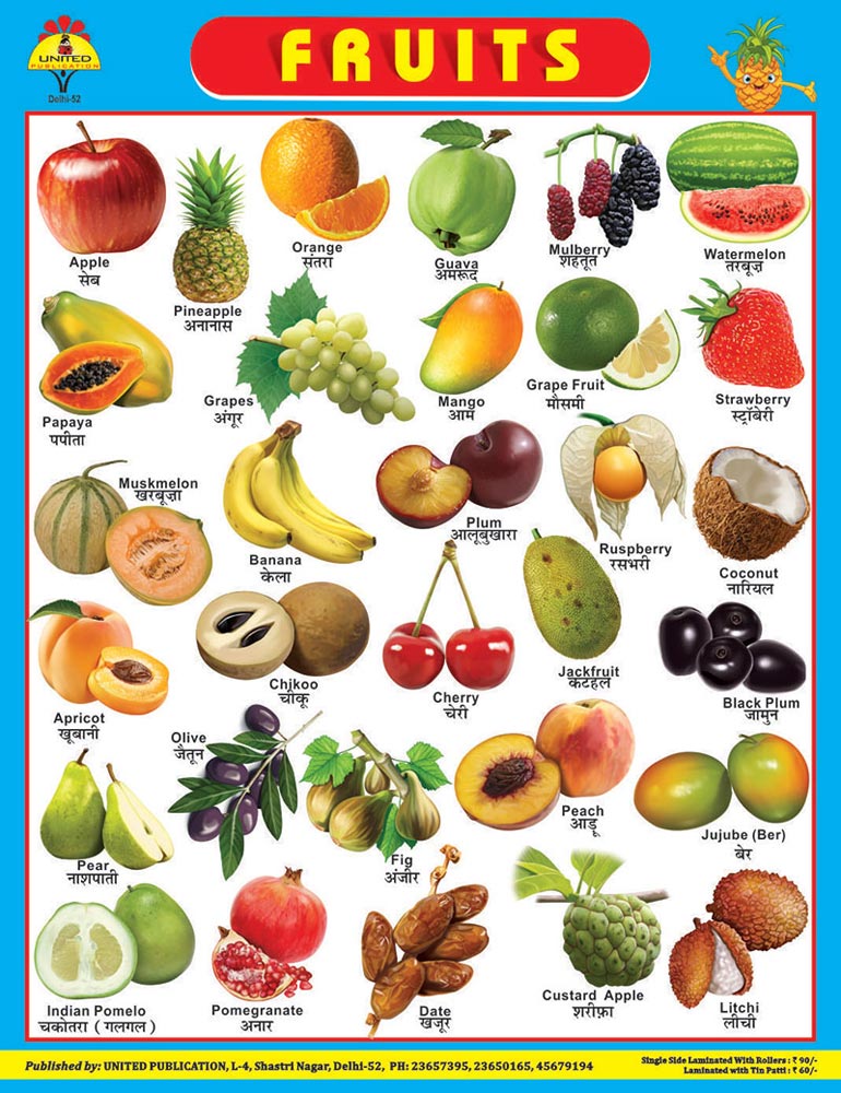 22x28 Fruit Charts