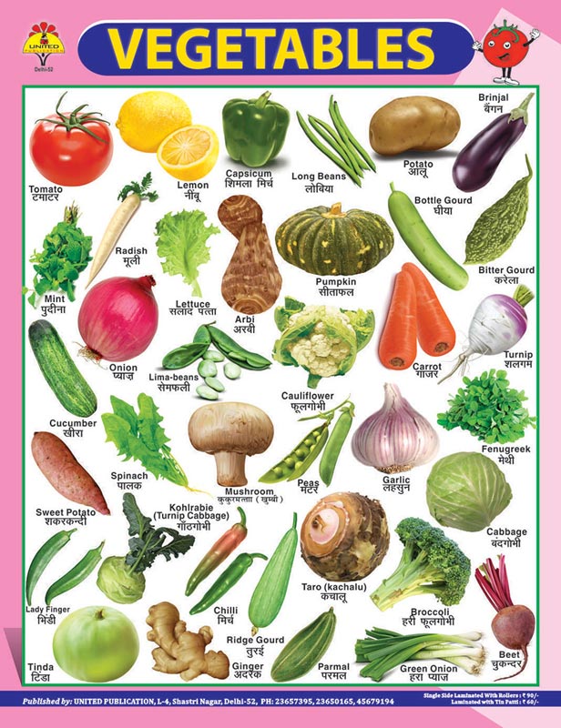 22x28 Vegetable Charts