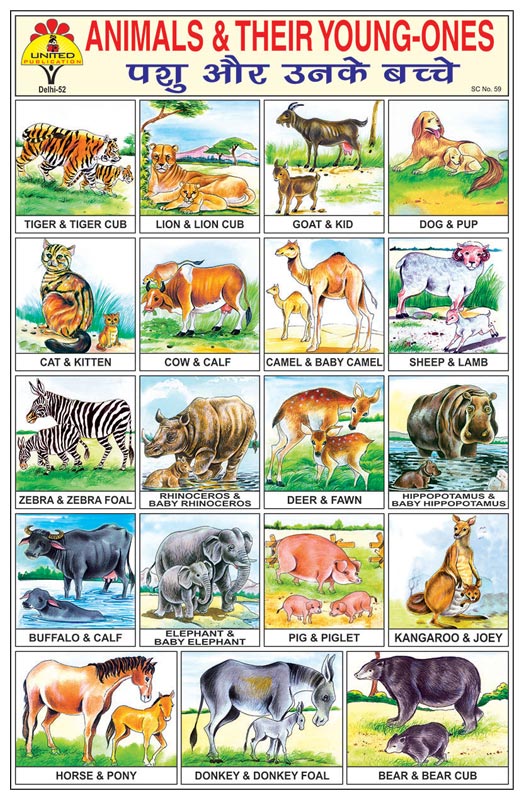 Animal & Their Young Ones Stickers