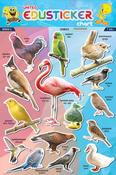 Bird EduStickers
