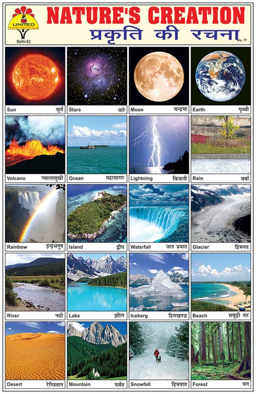 Nature Creation Stickers