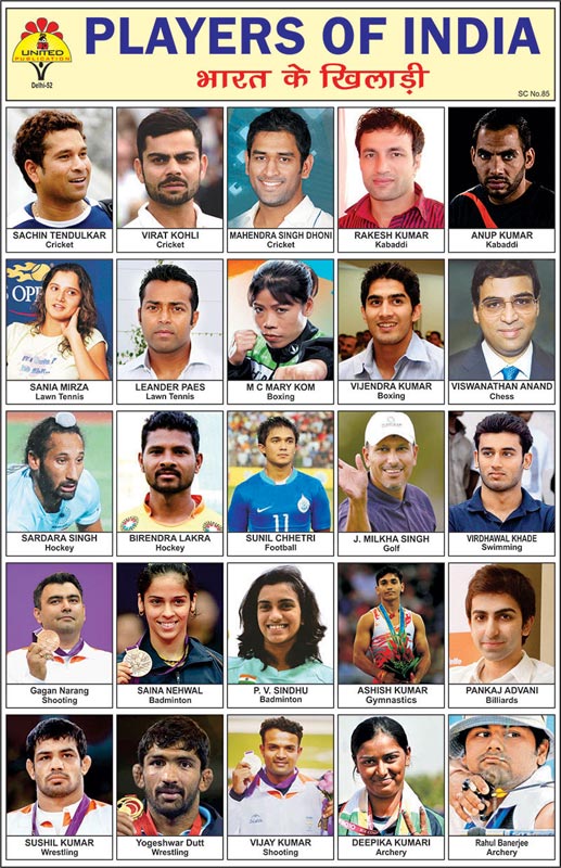 Players of India Stickers