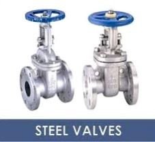 Globe Gate Valve