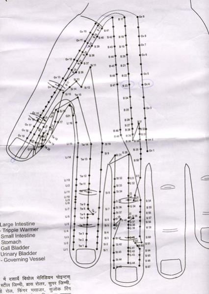Left Hand Back Side STD Corr Meridian Therapy