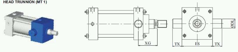 Head Trun Nion (MT 4)