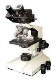 Binocular Coaxial Microscope