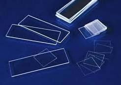 Microscope Slides