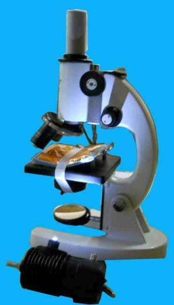 Student Microscope