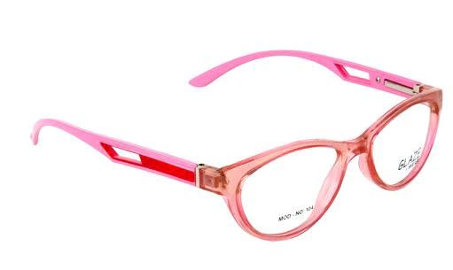 TR Repairable Spring High Quality Plastic Spectacle Frames 04