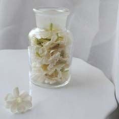 Jasmine Absolute (Sambac)