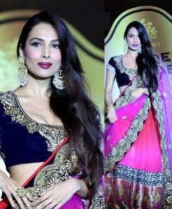 Ladies Lehenga Saree 02