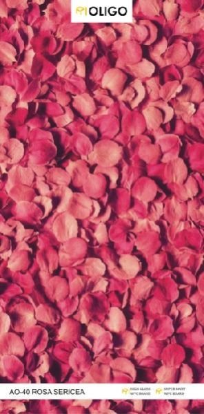 AO-40 Rosa Sericea Oligo Printed Wooden Panel