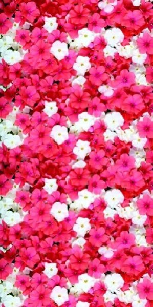 AO-41 Flower Oligo Printed Wooden Panel