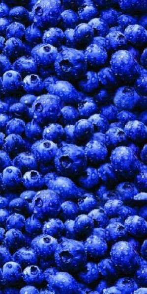 AO-47 Blueberry Oligo Printed Wooden Panel