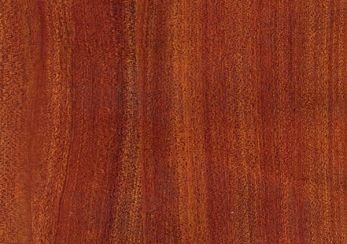 AO-60 Vancouver Maple Oligo Printed Wooden Panel