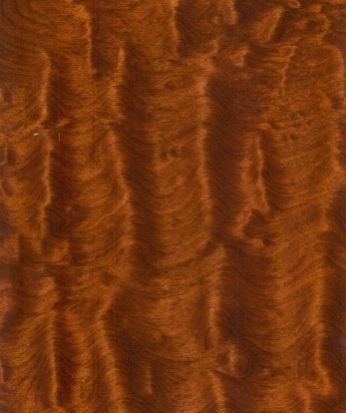 AO-68 Mahagony Curl Oligo Printed Wooden Panel