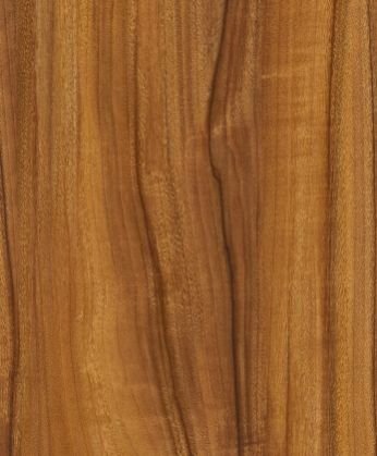 AO-74 Fumed Noce Oligo Printed Wooden Panel