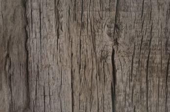 FX-506 Alstone Taupe Tropical Flooring Sheets