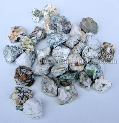 Tree Agate Rough Stones 01