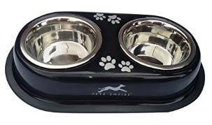 Double Dinner Pet Bowl