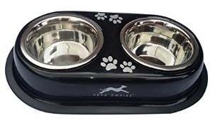 Double Dinner Pet Bowl