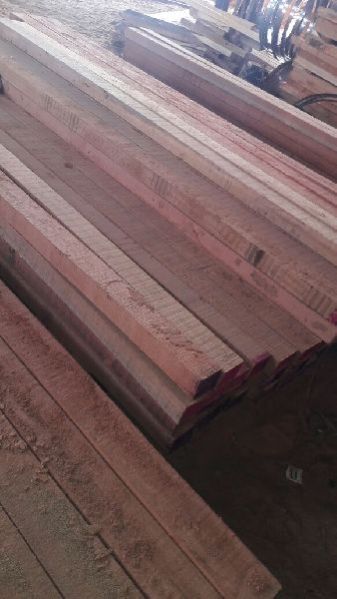 Malaysian Sal Wood 02