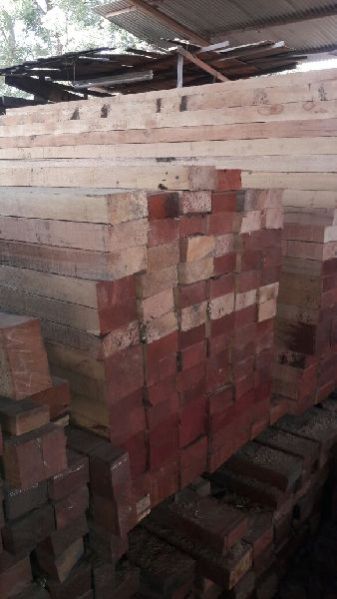 Malaysian Sal Wood 03