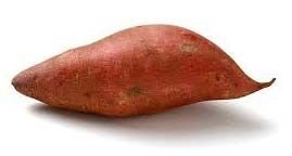 Fresh Sweet Potato