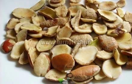 Irvingia Gabonensis Seeds 01