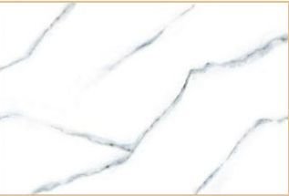 Chex Satavariya Blue