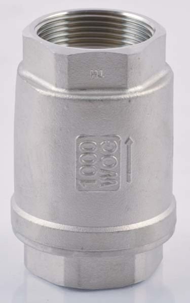 Stainless Steel Non Return Valve 01