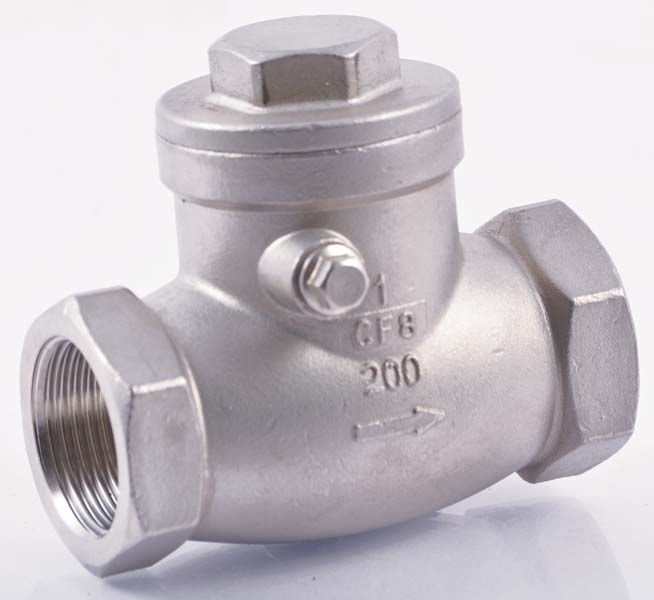 Stainless Steel Non Return Valve 02