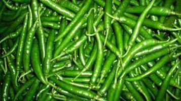 Image  02