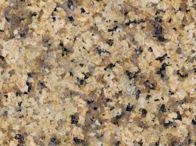 Royal Cream Granite Slab