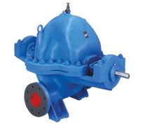 Axially Split Case Pump (DSM-DSMT)