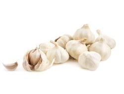 Fresh Garlic