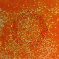 Structure Finish pure epoxy powder