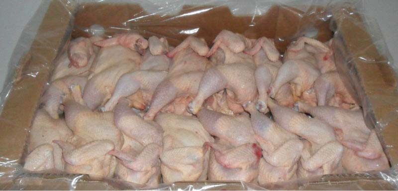 Frozen Chicken Meat 01