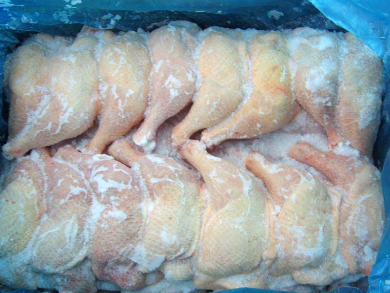 Frozen Chicken Meat 02