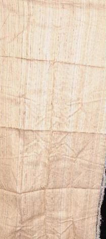 Tussar Fabric 03