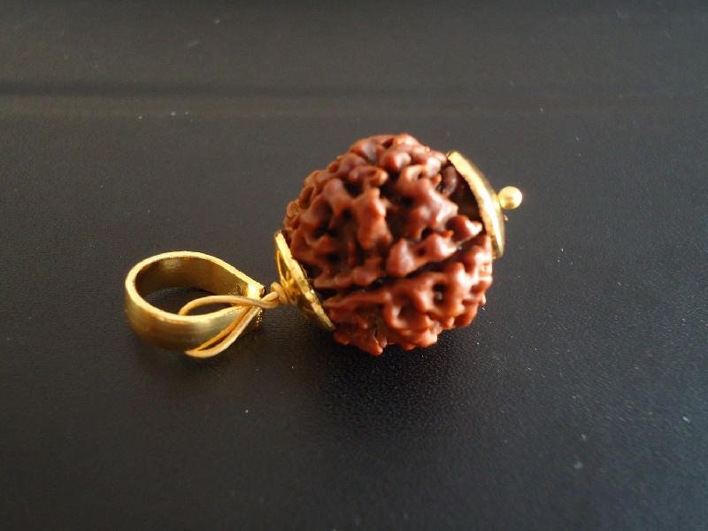 Rudraksha Rings (A6)