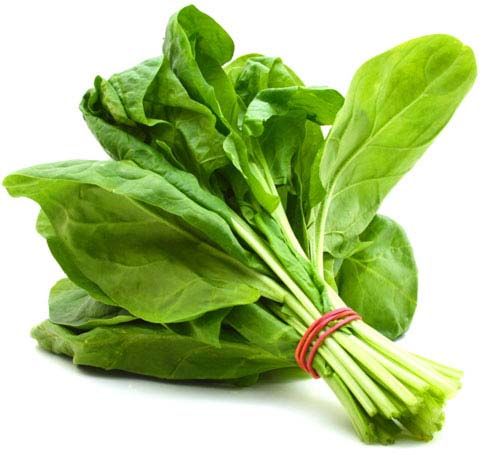 Fresh Green Spinach