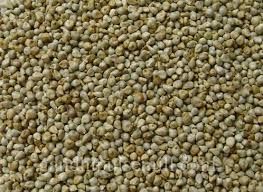 Millet Seed 02
