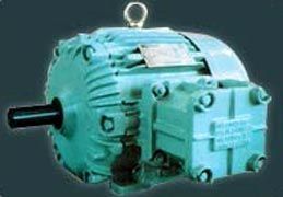 Flame Proof Motors 03