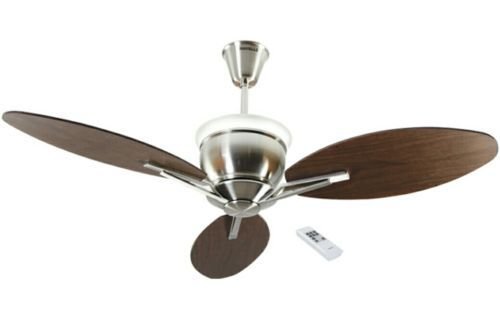 Electric Fans 01