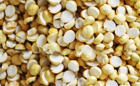 Roasted Split Chana 02