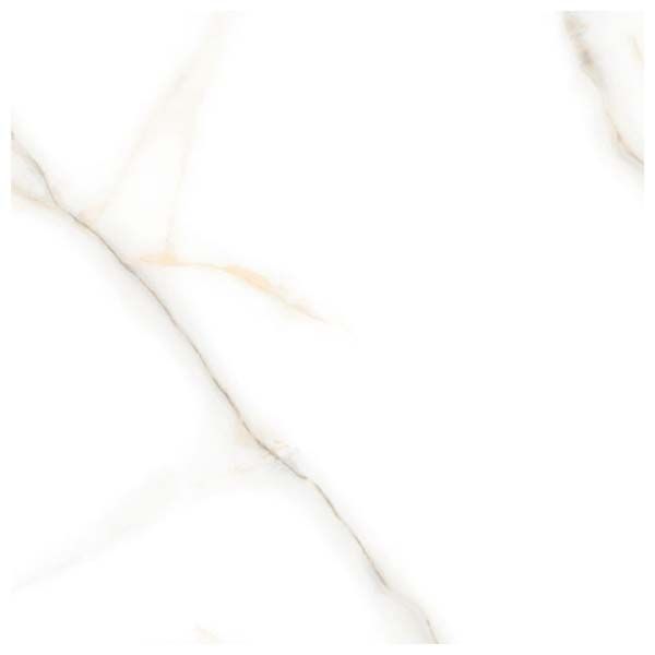 Vitrified Floor Tiles 12