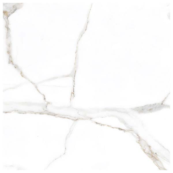 Vitrified Floor Tiles 23