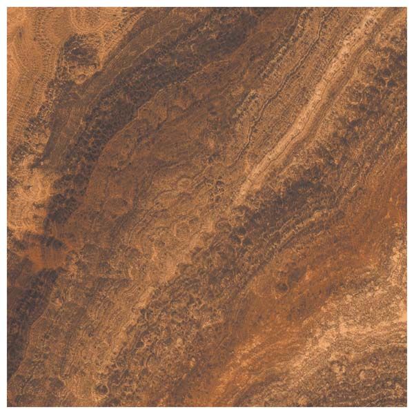 Vitrified Floor Tiles 44