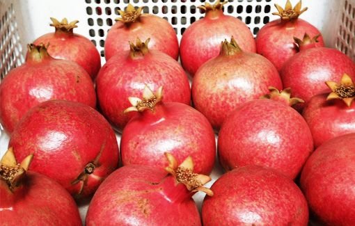 Fresh Pomegranate  05